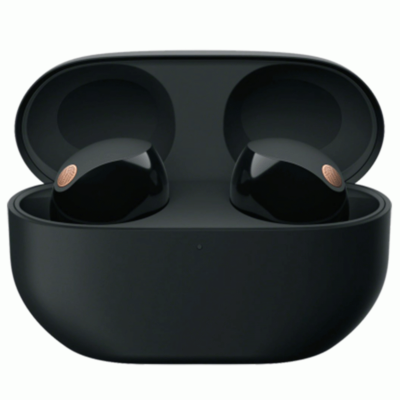 Sony WF-1000XM5 Truly Wireless Noise Canceling Earbuds