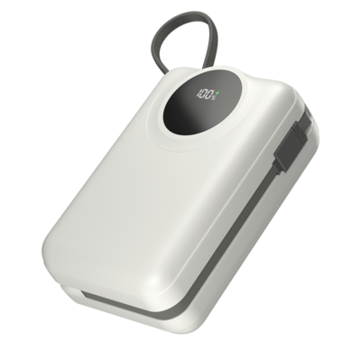 Megawatt | R-4055 30000 mAh Power Bank