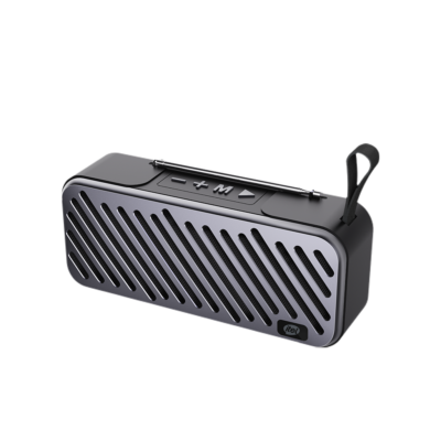 Wireless Speaker S31